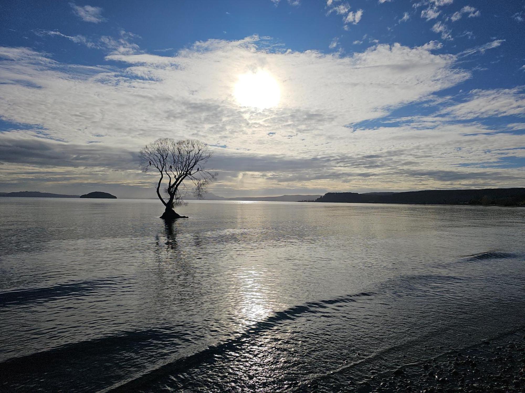 10 @ Wai Matangi Villa Turangi Dış mekan fotoğraf