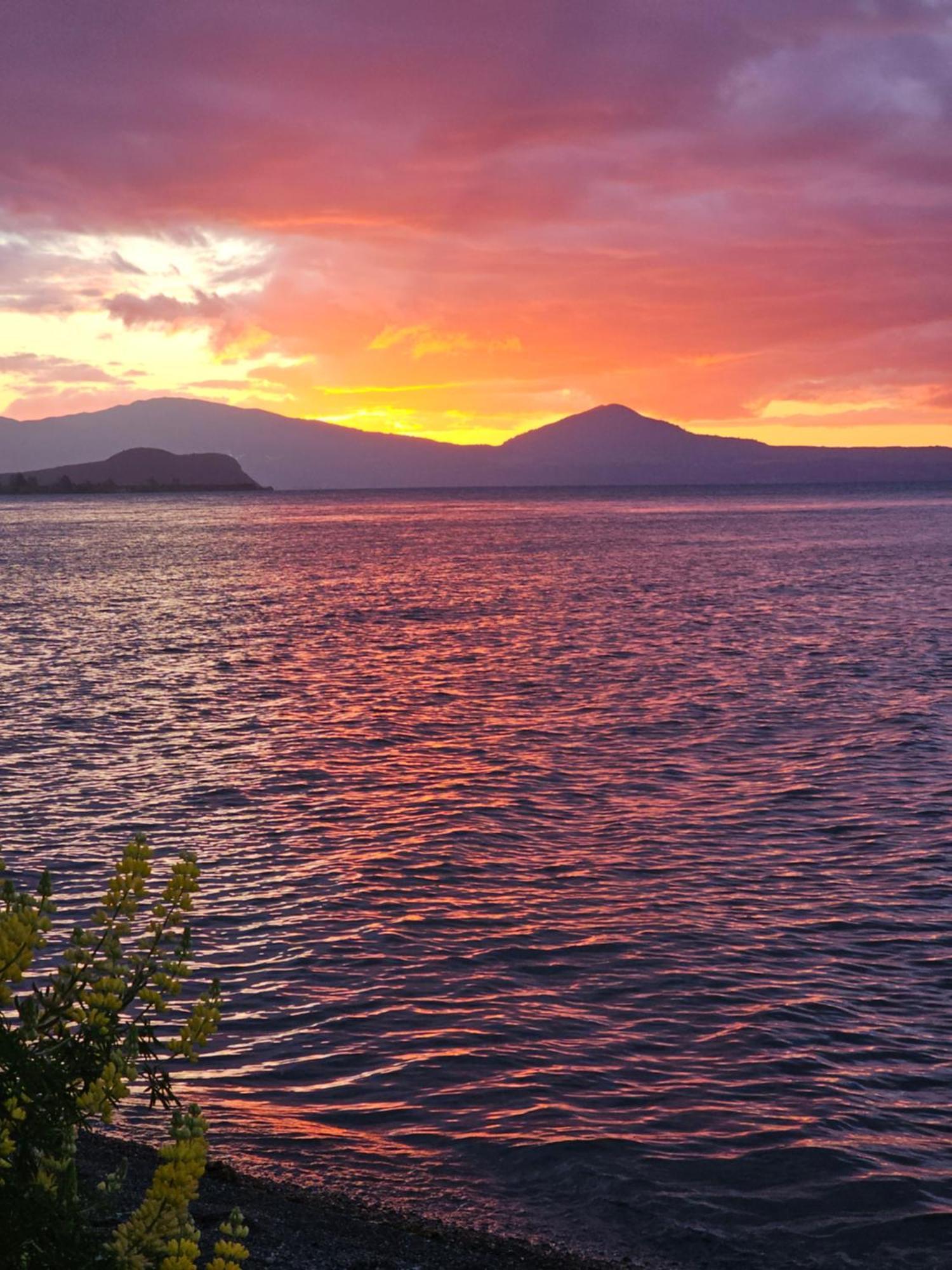 10 @ Wai Matangi Villa Turangi Dış mekan fotoğraf